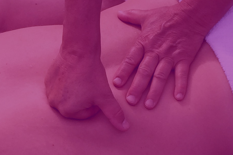 Somatic Healing Arts Massage in Zürich Preise Methoden